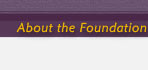 About the Foundation