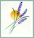 Rona Barrett Foundation